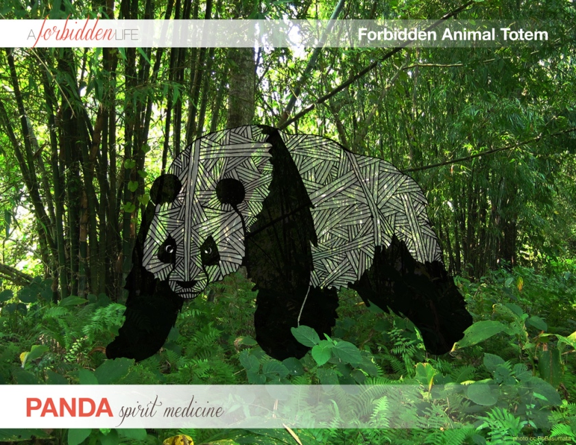 panda-animal_totem-cover